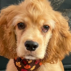 Ellen Johnson, 02.04