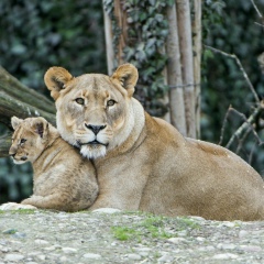 Леночка Говоркова, 26.02.1991, Караганда