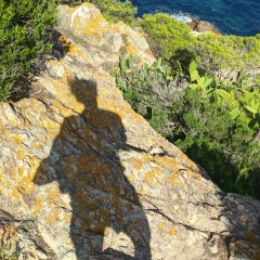 Анастасия Астахова, 22.01, Киев