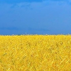 Дмитрий Гавриш, 26.02.1979, Киев