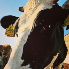 Диана Паршина, 31.05.1994, Москва