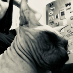 Гузель Хусаинова, 08.10.1984, Уфа