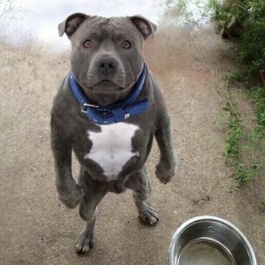 Вася Иванов, 25.04, Волгоград