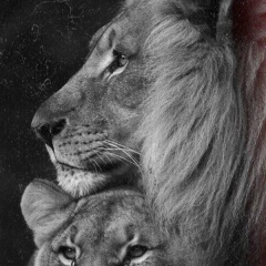 Арайбек Айжарык, 13.04.1993, Актобе