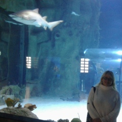 Регина Татаринова, 11.12, Москва