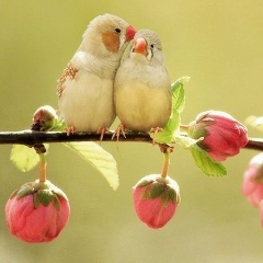 Лилия Давлетшина, 26.01.1984, Казань