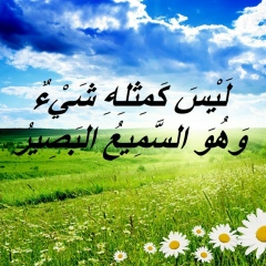 Талгат Камалетдинов, 15.01.1986, Москва