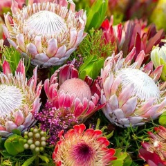 Оксана Городилина, 06.06.1981, Москва