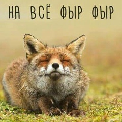 Паша Faraosha, 31.12, London