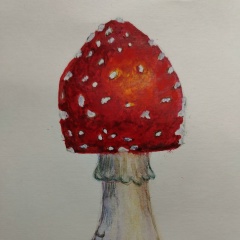 Василий Жиряков, Санкт-Петербург