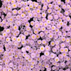 Shakhnoza Khassanbayeva, 23.06, Алматы