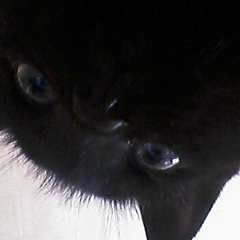 Наталия Натальина, 06.12, Красноярск