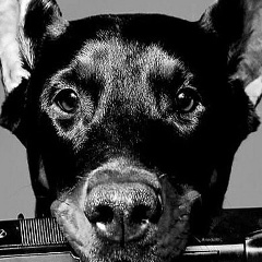 Вячеслав Полищук, 06.09.1990, Махновка / Комсомольское