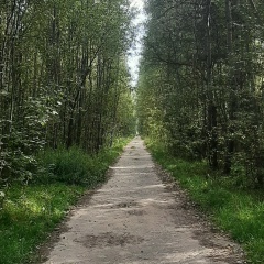 Николай Щербаков, Москва