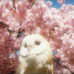 Ксения Косалапова, 26.07, Ростов-на-Дону