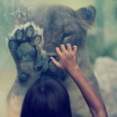 Анюта Загороднова, 12.05.1989, Москва