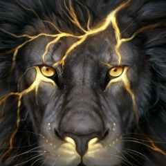 Аскар Бультеков, 25.08, Wien