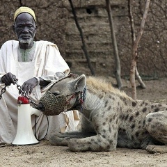 Расул Хашев, 04.09.1907