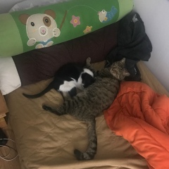 Kyaw Kyaw, 11.06.1990