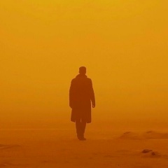 Мансур Азимов, 04.11.1993, Грозный