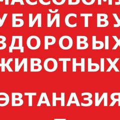 Тамара Ершова, 22.06, Санкт-Петербург