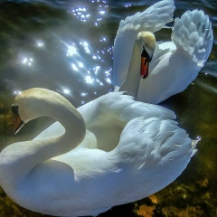 Татьяна Костюк, 08.02, Красноярск