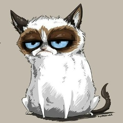 Кира Вольхова, 06.05