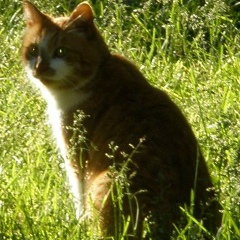 Дмитрий Ананич, 26.09, Санкт-Петербург