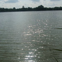 Николай Мелентьев, 15.09.1983, Киев