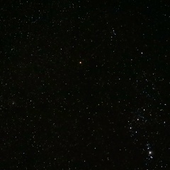 Макс Сиренко, 14.08.1994