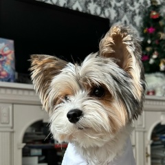 Ксения Кремлёва, 21.03, Донецк