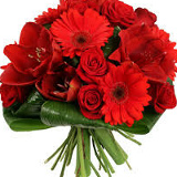 Елена Шкут, 05.10.1984