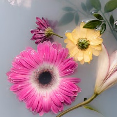 Эльвирочка Серикова, 09.09, Казань