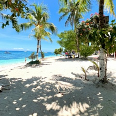 Алйэкс Тсой, Москва