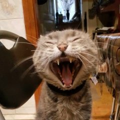 Jagyap Гироскоп, 16.05.1992, Одесса