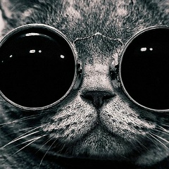 Vadim Belke, 20.01, Berlin