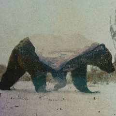 Ani Bee, 18.10.1992, Vancouver