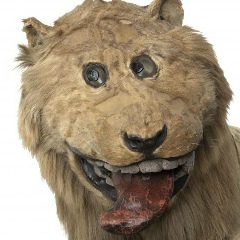 Артем Юнусов, 16.06.1991, Москва