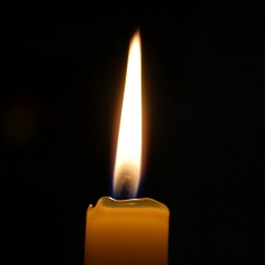 Алексей Петров, Вологда