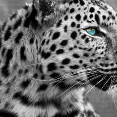 Егор Евланов, 25.03, Москва