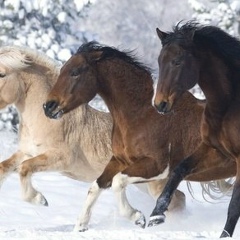 Катерина Стаценко, 25.10, Чернигов