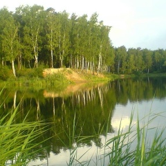 Владимир Лядкин, Балашиха