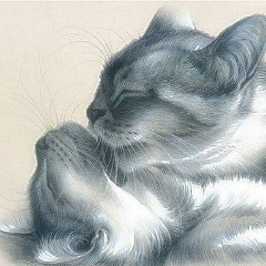 Светлана Третьякова, 09.05.1982, Бузулук