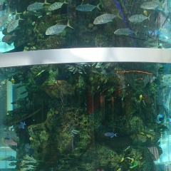 Журабек Гуломжонов, Москва