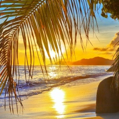 Diana Yatskevich, 07.12