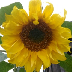 Наталья Меркурьева, 07.02, Санкт-Петербург