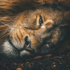 Жансерик Сальменов