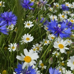 Сергий Суша, 14.06.1971