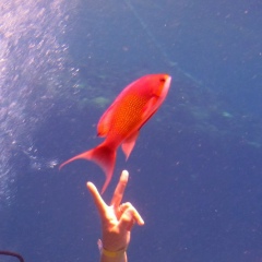 Павел Курятов, 05.07.1987, Пенза