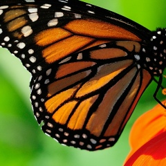 Юлианна Галкина, Москва